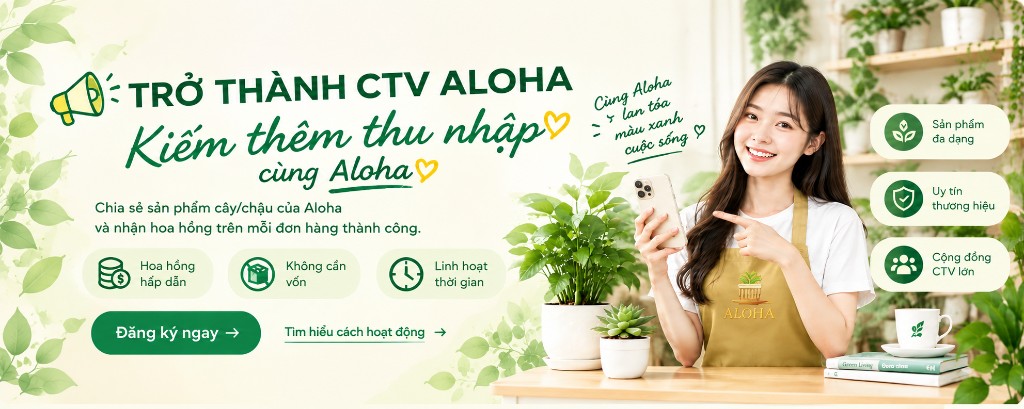 Trở thành CTV Aloha — Kiếm thêm thu nhập cùng Aloha