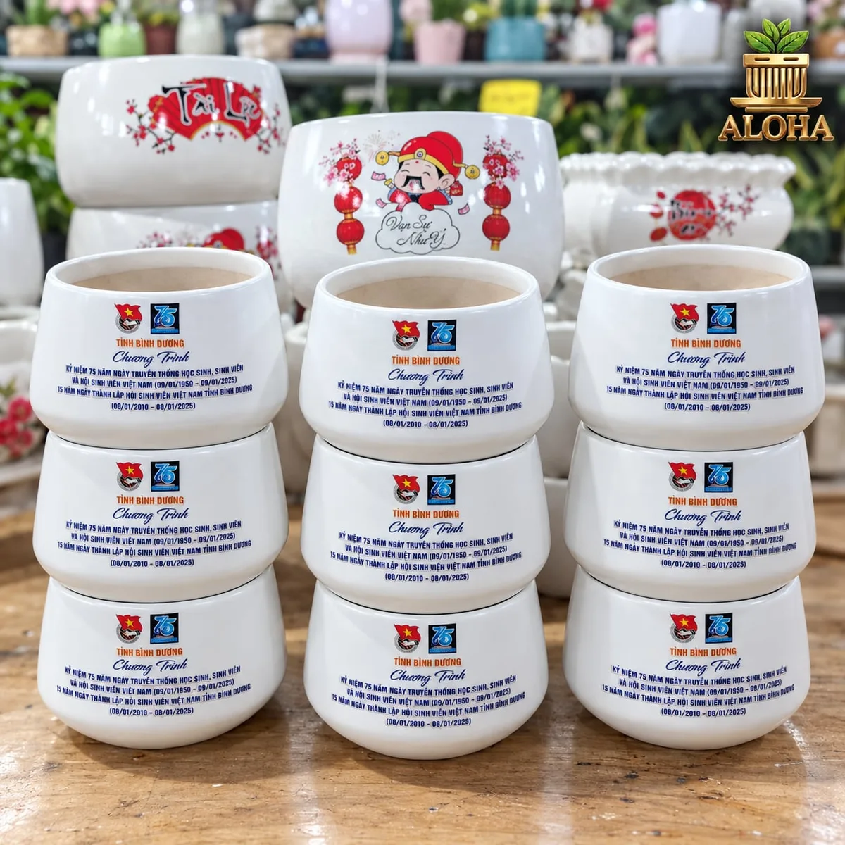 Tỉnh Đoàn – Hội Sinh viên Bình Dương