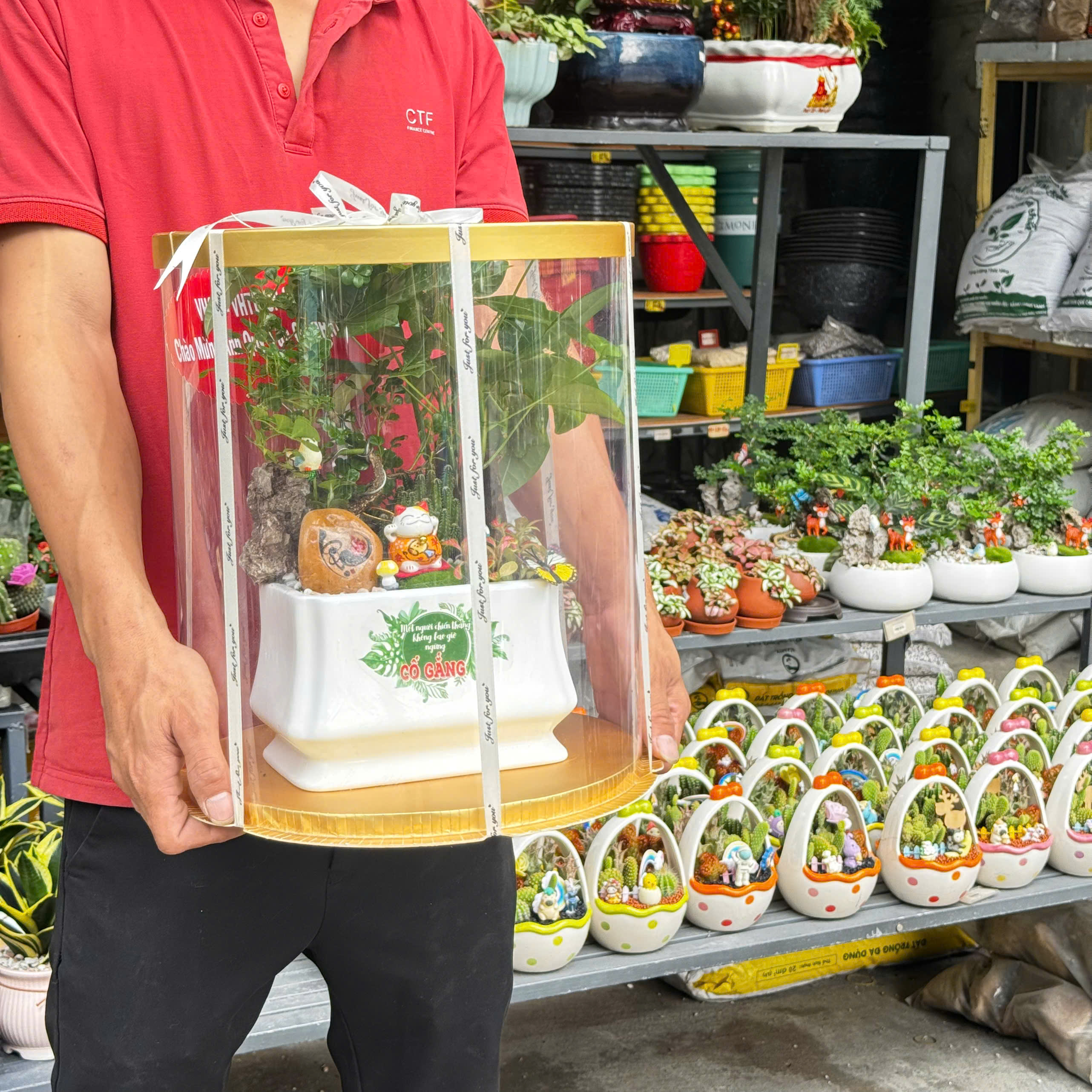 Ảnh minh họa sản phẩm Aloha