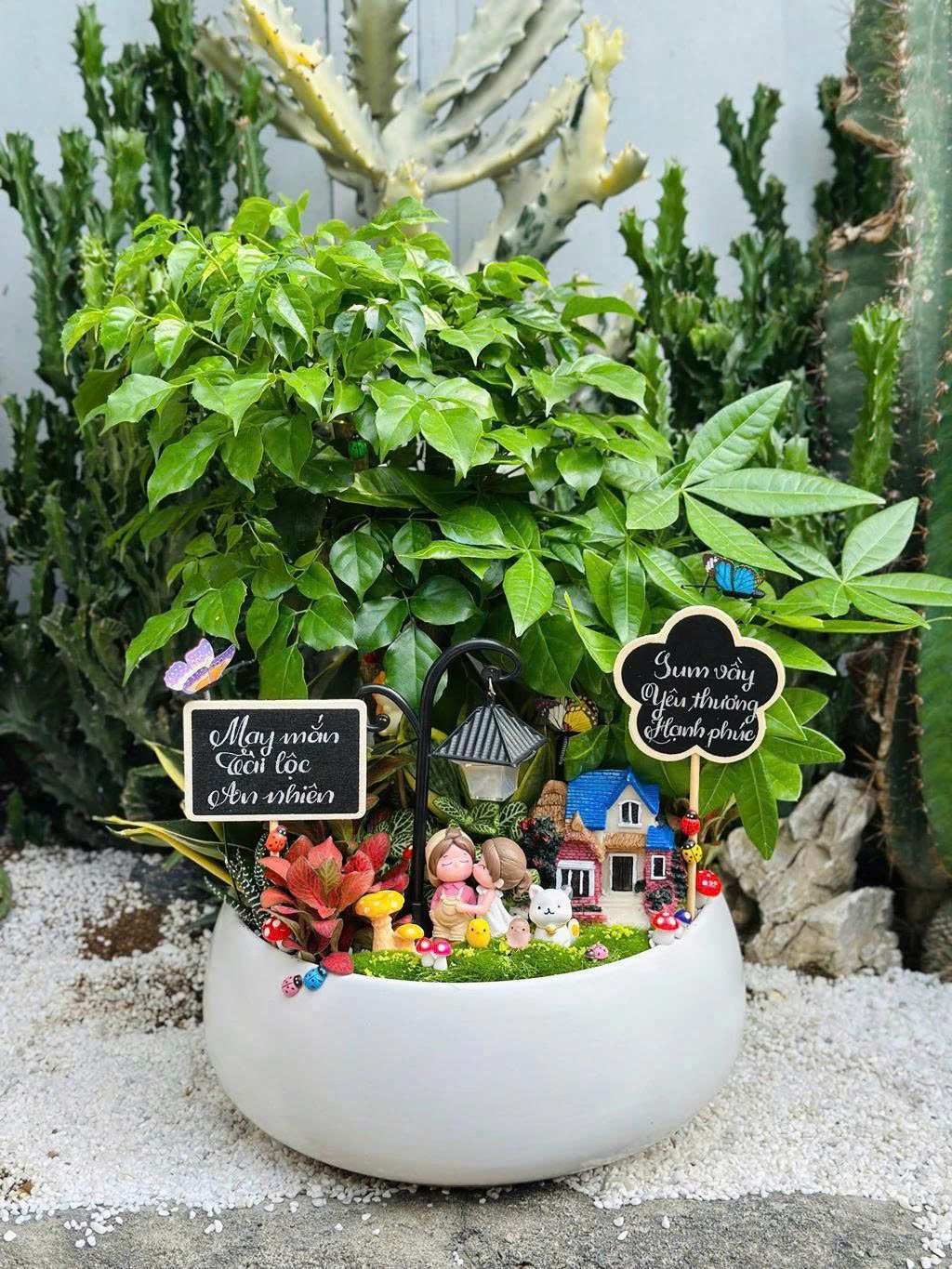 Ảnh minh họa sản phẩm Aloha
