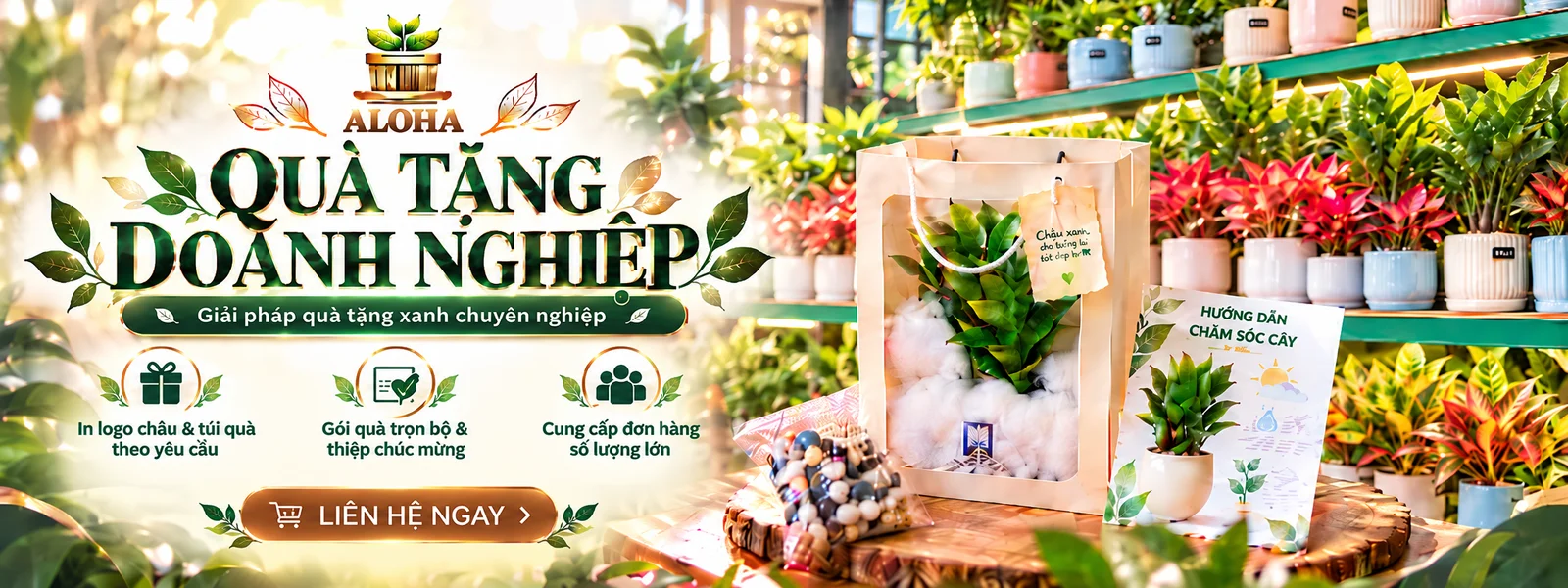 ALOHA — Sản phẩm chất lượng, tuyển chọn kỹ
